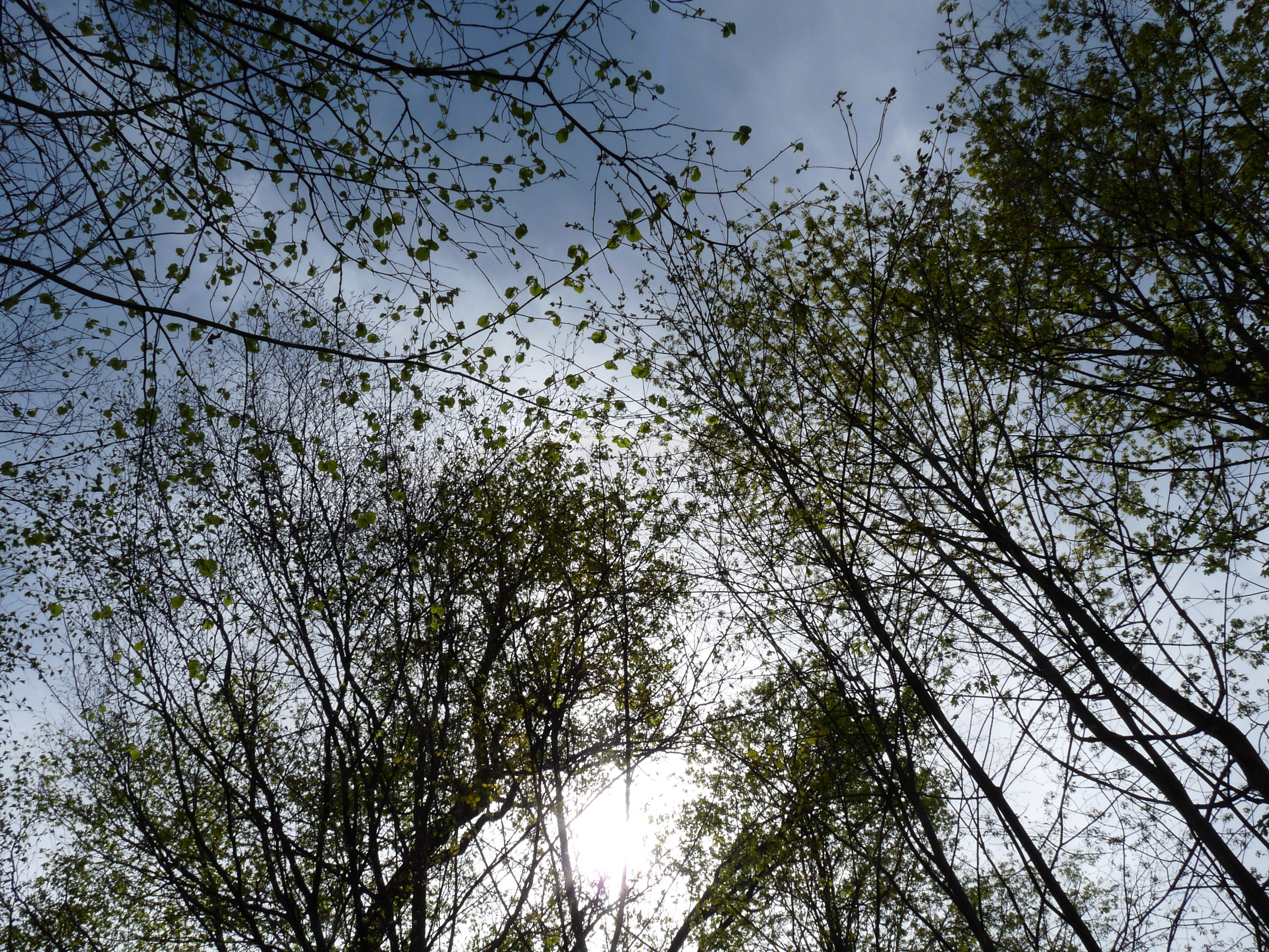 20180414151130 P1110057